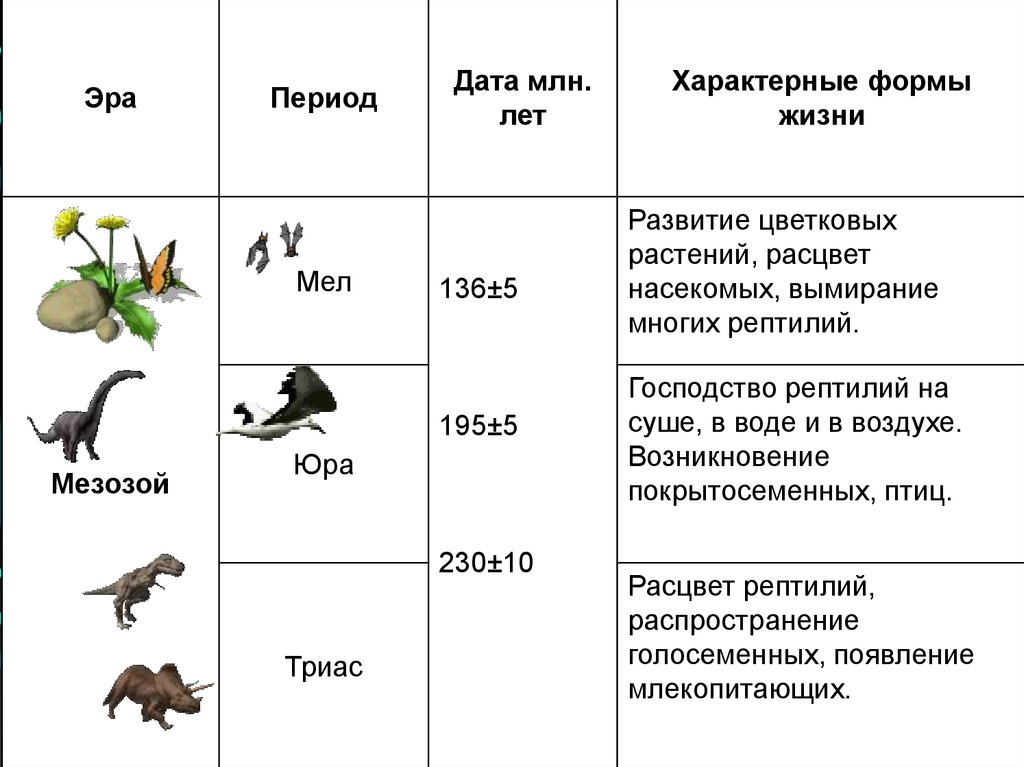 Для какого периода характерны. Начальные этапы развития жизни таблица. Основные этапы развития земли таблица. Эволюция эры периоды таблица. Основные этапы эволюции таблица эры.