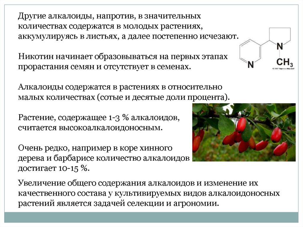 Алкалоиды в растениях. Растения содержащие алкалоиды. Алкалоиды содержатся в растениях. Алкалоиды в каких растениях содержится.