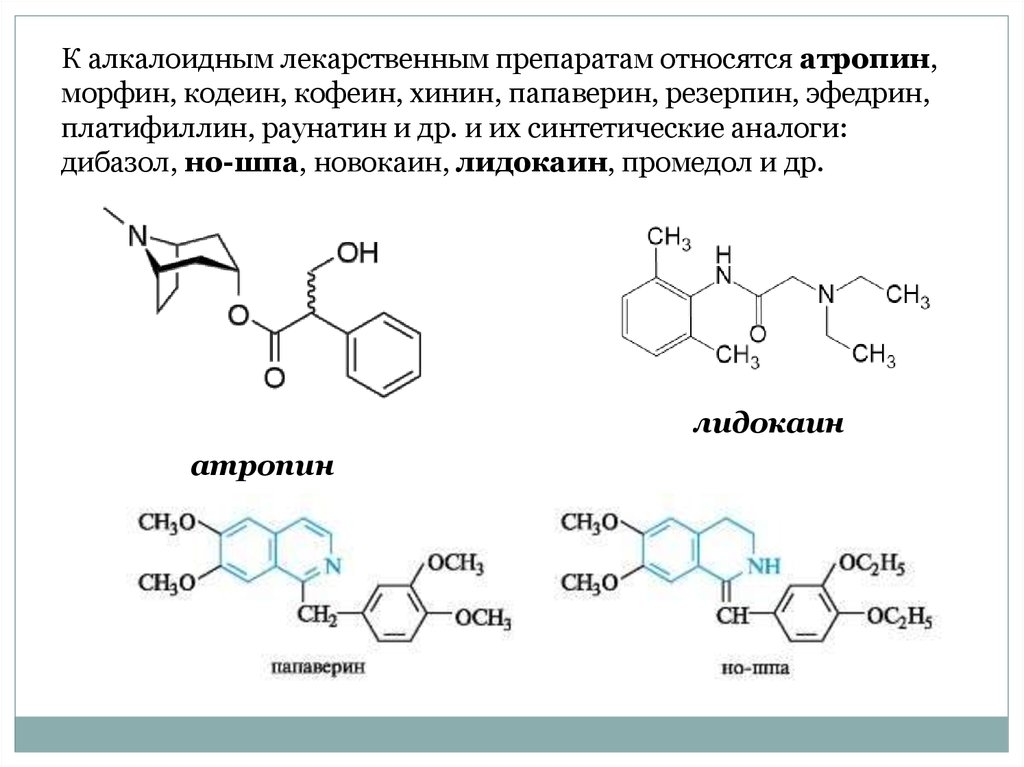 Атропин относится к группе. Формула папаверина гидрохлорида. Папаверина гидрохлорид строение. Платифиллин алкалоид. Платифиллин химическая структура.