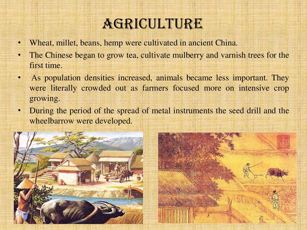 peculiarities-of-economic-development-of-ancient-hina-online