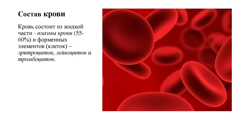 На 60 состоит из. Состав крови. Кровь состоит. Кровь человека биология. Кровь человека состоит из.