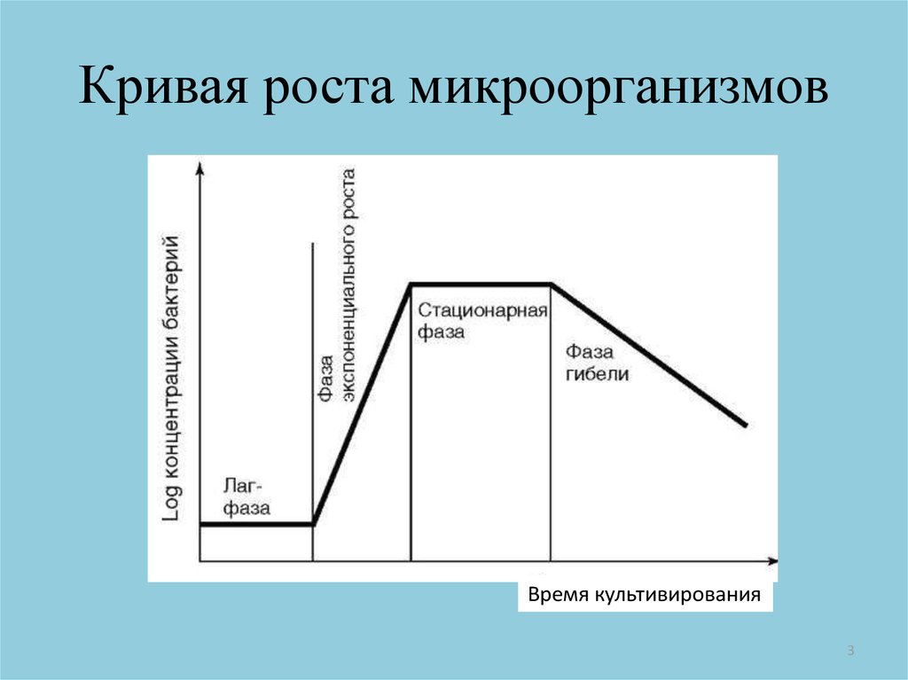 Кривая роста. График фаз роста микроорганизмов. Фазы роста микробной популяции на питательной среде. Кривая роста микроорганизмо. Лаг фаза роста бактерий.