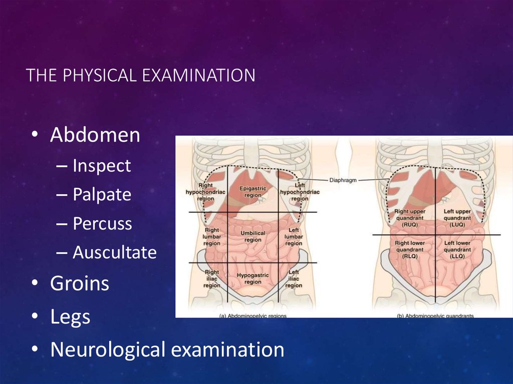 The Physical Examination