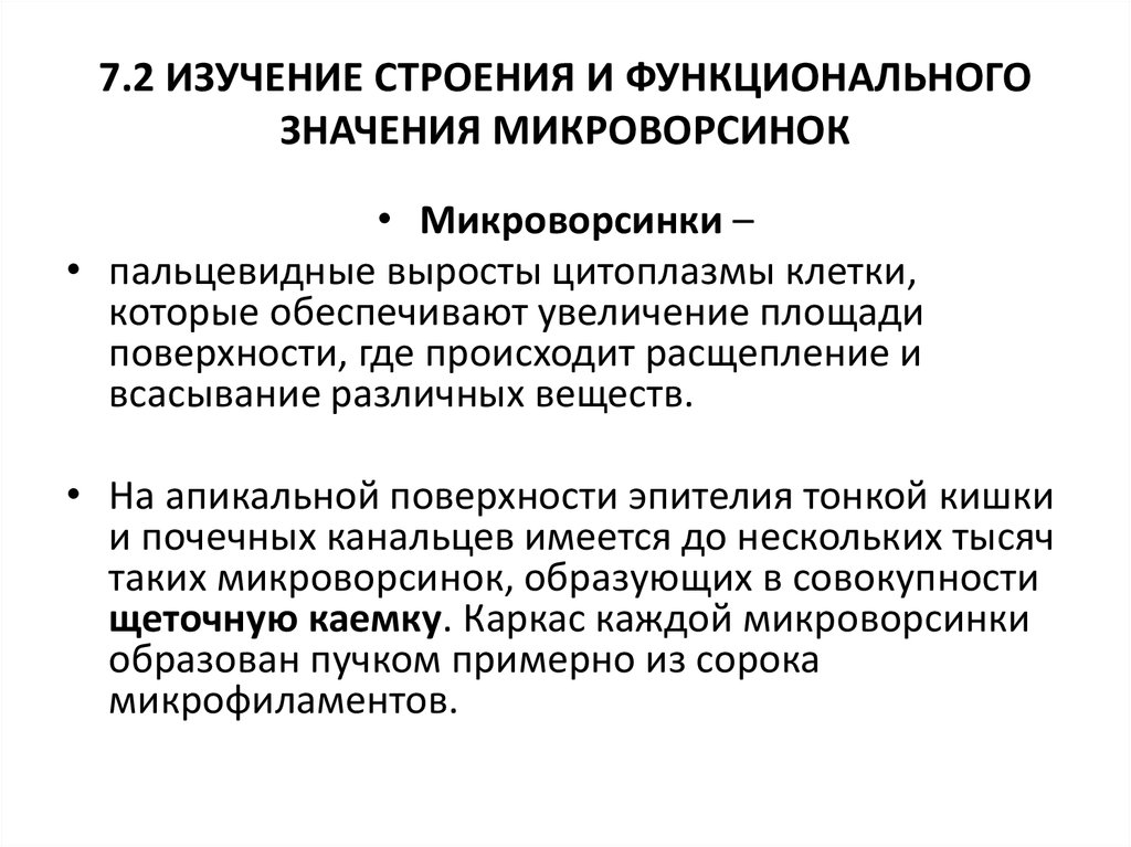 Функциональная величина. Микроворсинки строение и функции таблица. Микроворсинки особенности строения и функции таблица. Микроворсинки выполняют следующие функции. Микроворсинки понятие строение значение.