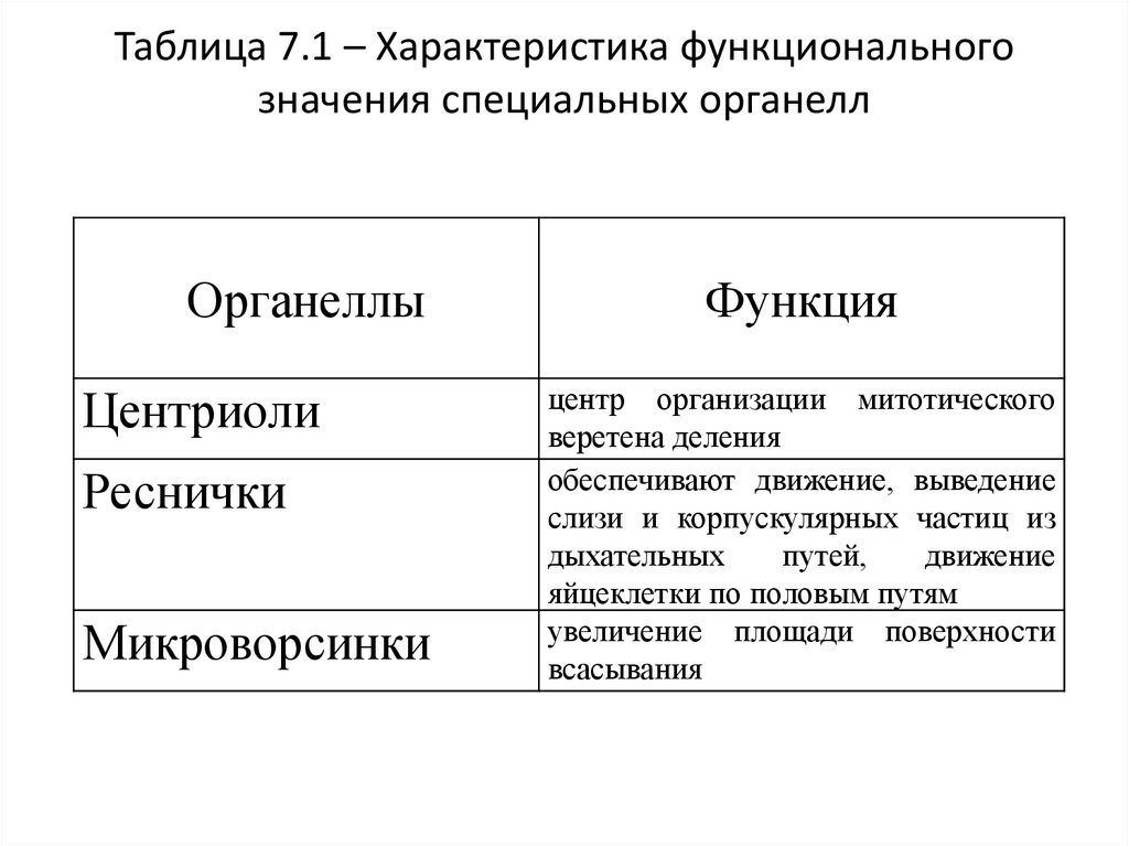 Сравнительная характеристика ресничек и жгутиков