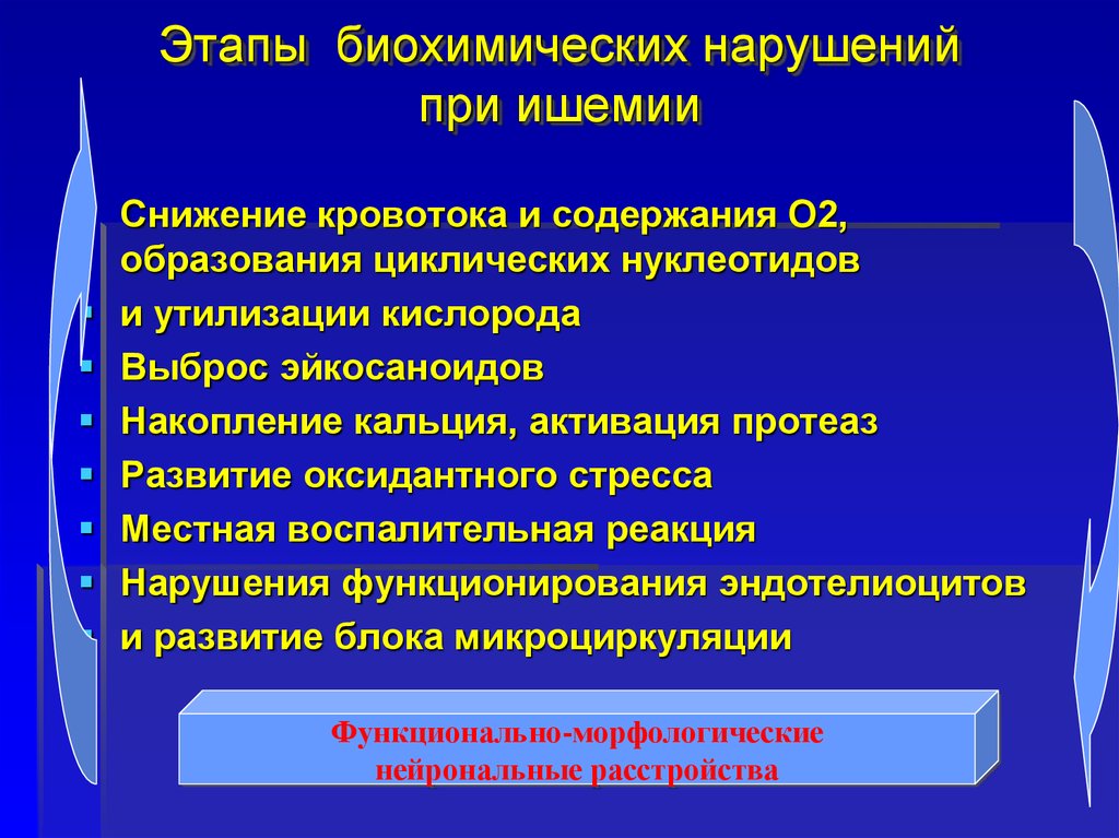 Патогенетические подтипы ишемического инсульта. ОНМК патогенетические подтипы. Стадии развития ишемии. Патогенетические варианты ишемического инсульта.