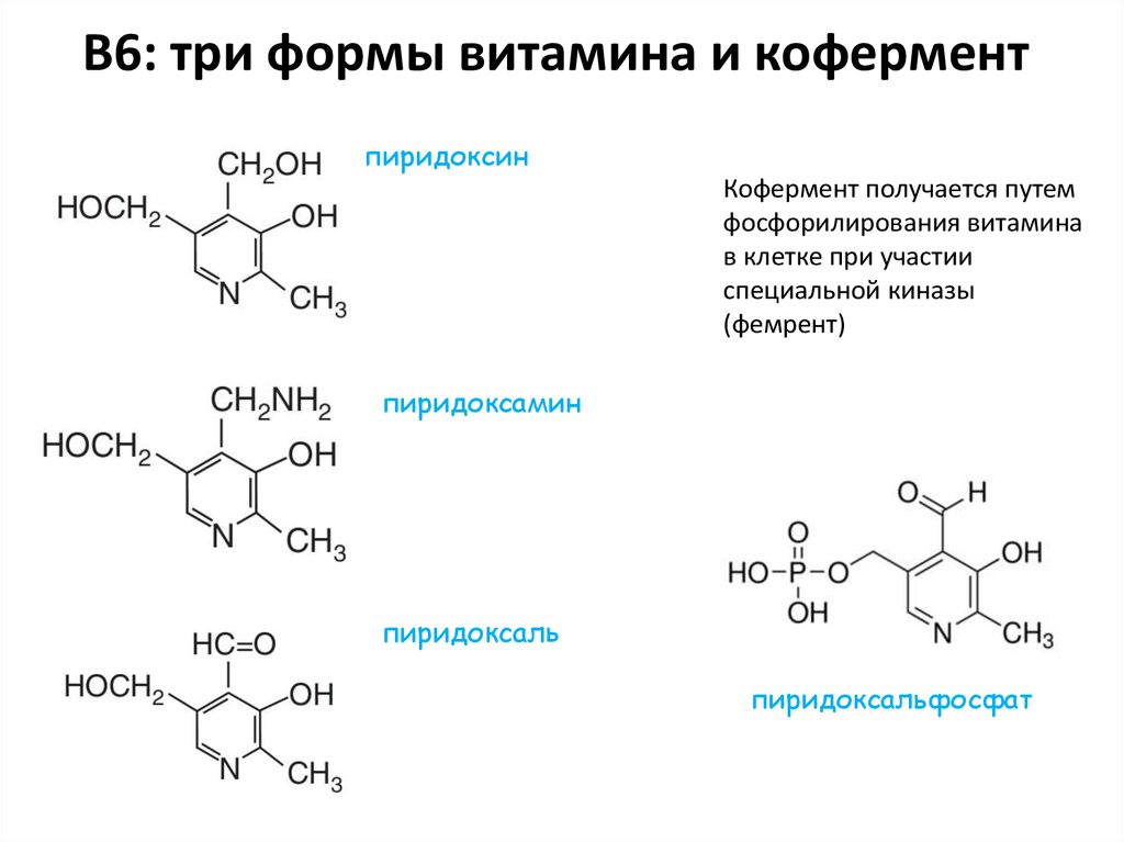Формула форм. Кофермент витамина в6. Витамин в6(пиридоксин, пиридоксаль, пиридоксамин. Структура витамина в6. Витамин в6 структурная формула.