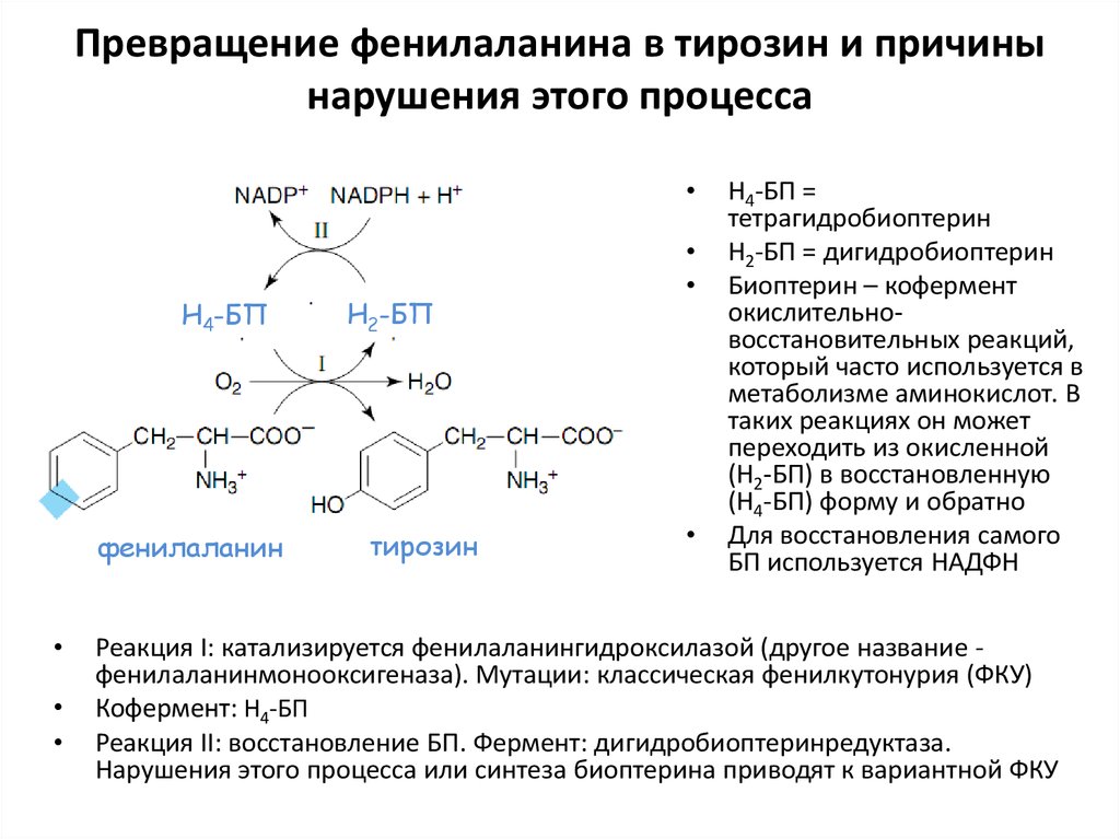 Превращение фенилаланина в тирозин. Фенилаланин в тирозин реакция. Синтез фенилаланина. Образование фенилаланина реакция.