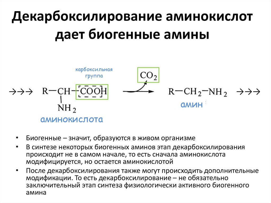 Декарбоксилирование аминокислот презентация