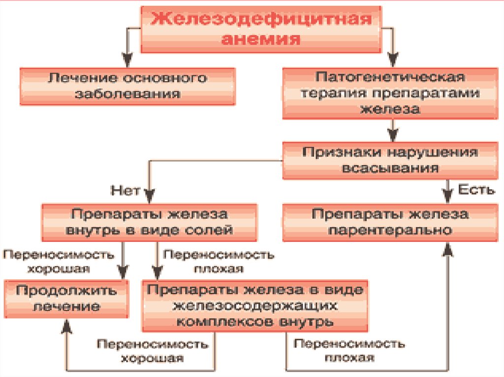 Профилактика железодефицитной анемии презентация