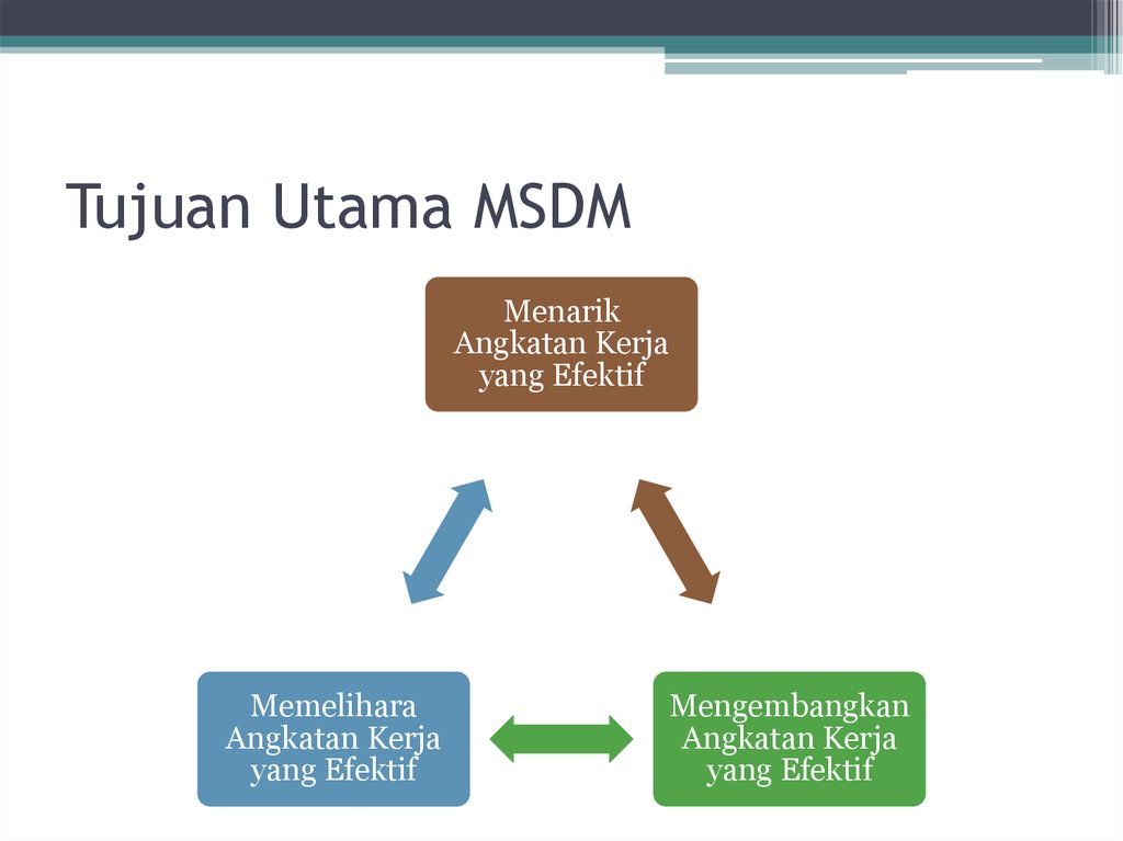 Msdm
