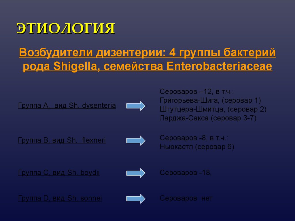 Шигеллез эпидемиология презентация