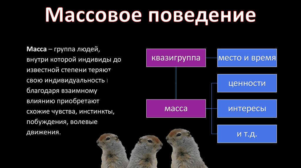 Социальное поведение всех животных делится на 3