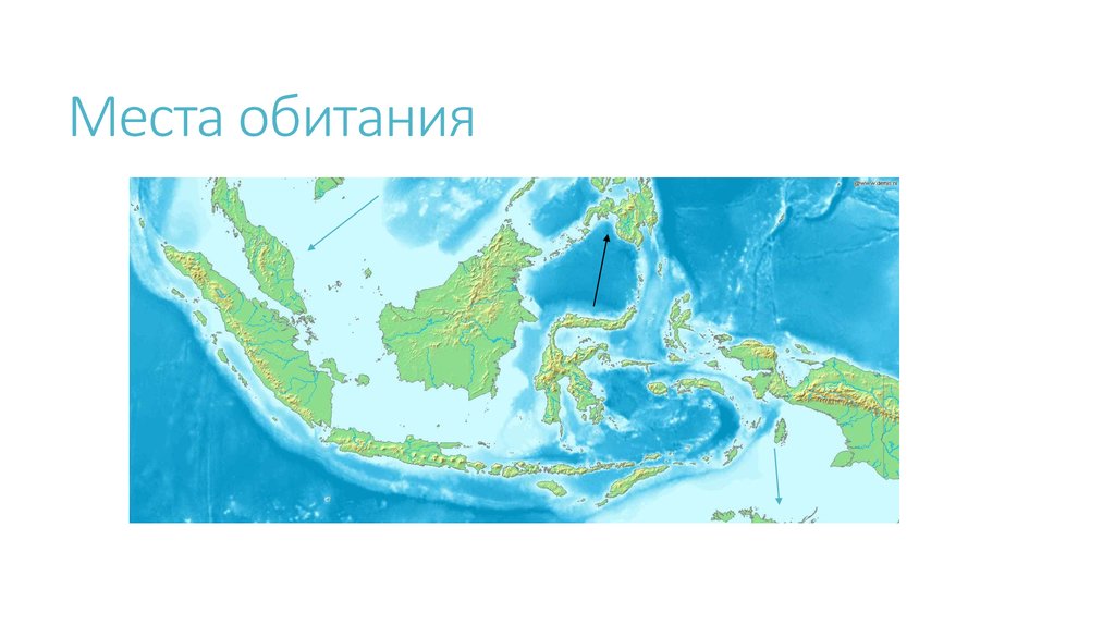 Места обитания