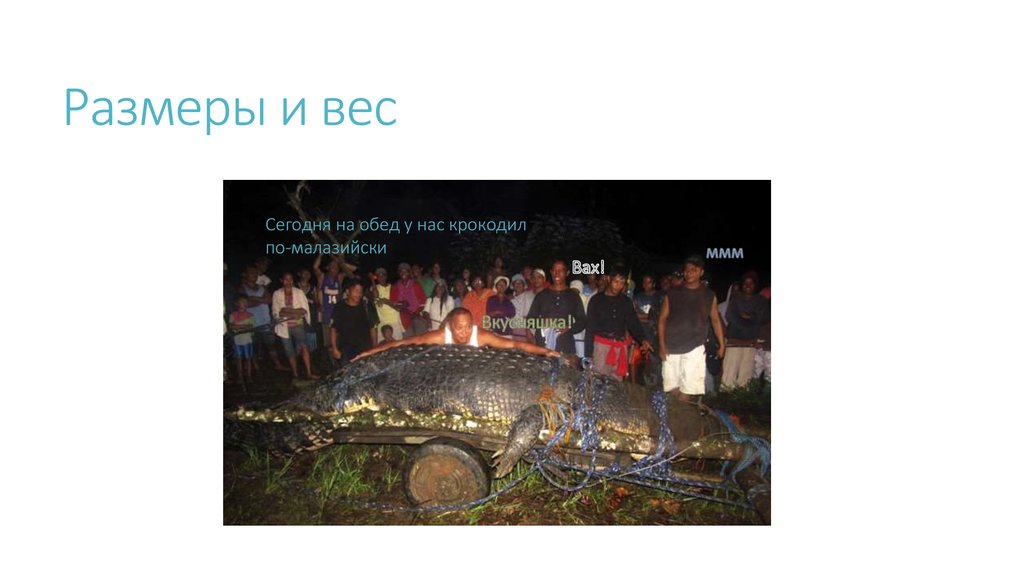 Размеры и вес