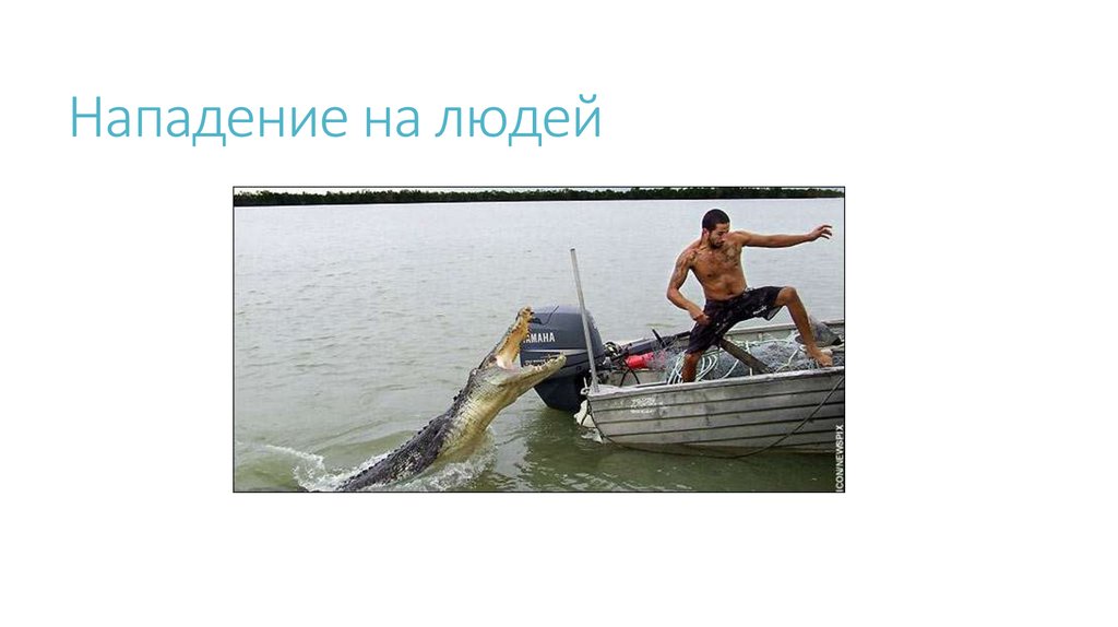 Нападение на людей