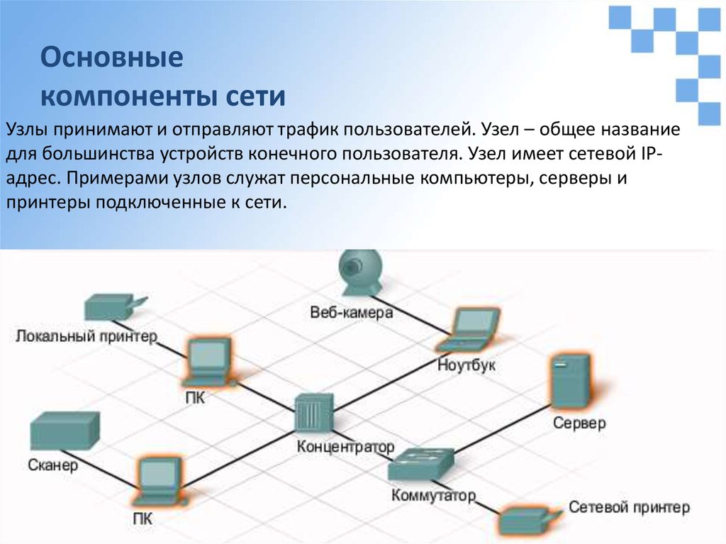 Присоединенные сети. Основные компоненты сетей сетевая среда и сетевые устройства. Схема организации связи между узлами сети и пользователем. Сетевые устройства схема. Основные элементы локальной сети.