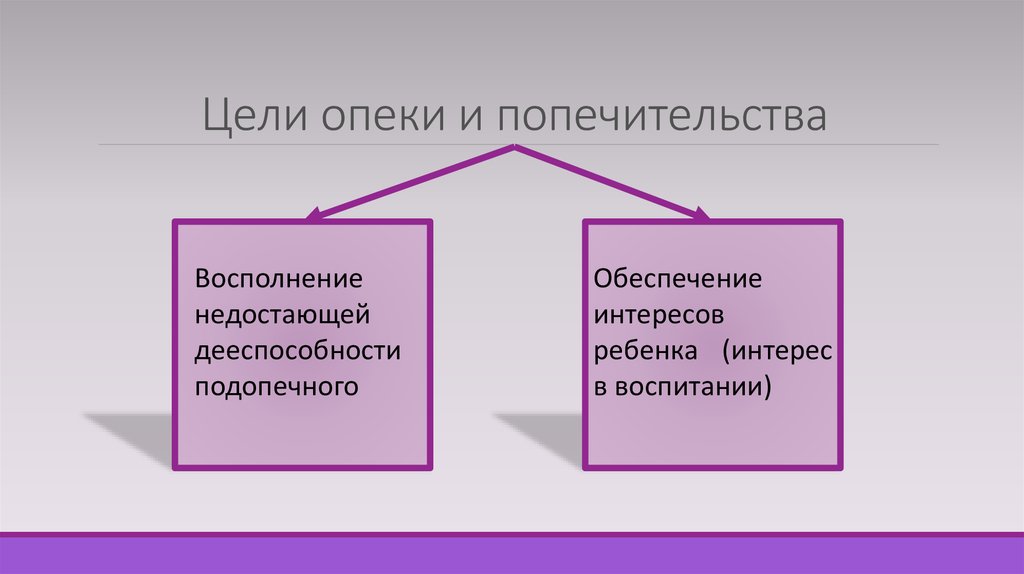 Попечительство государства