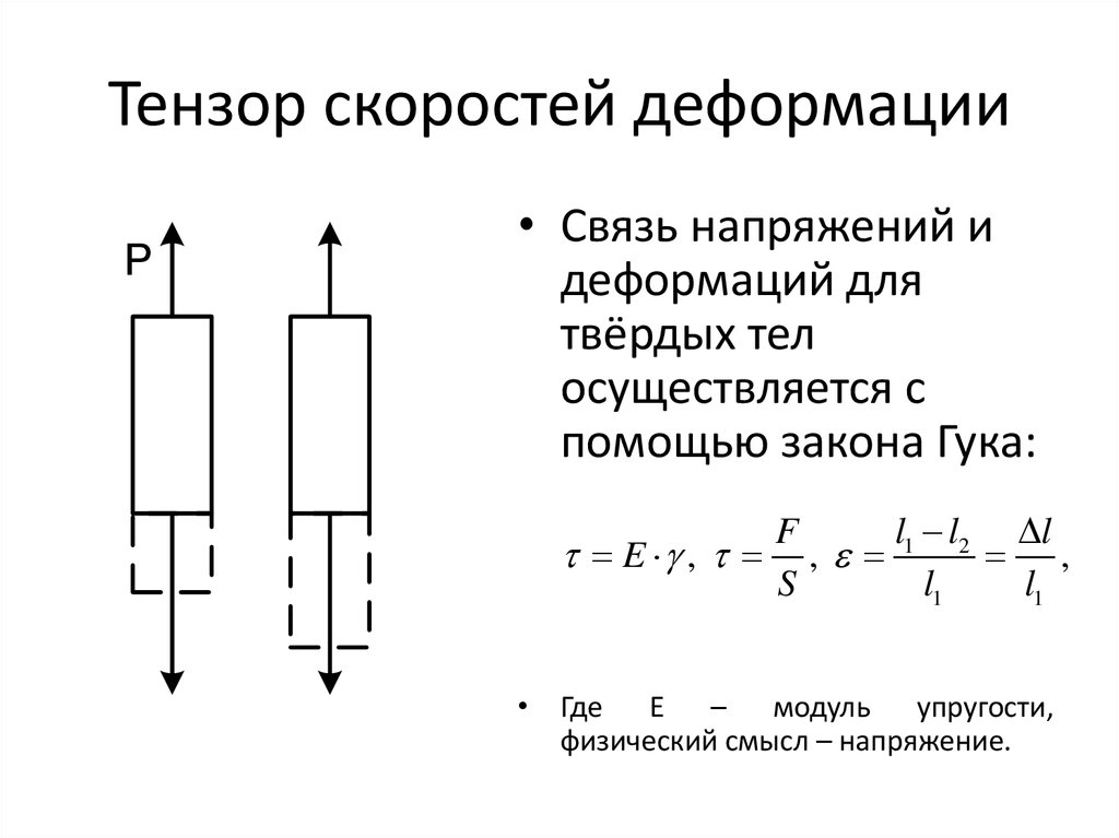 Тензор эцп