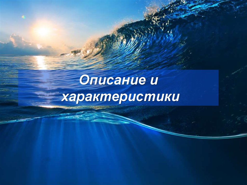 Исследователи тихого океана. Тихий океан подготовится. Тихий океан презентация спасибо за.