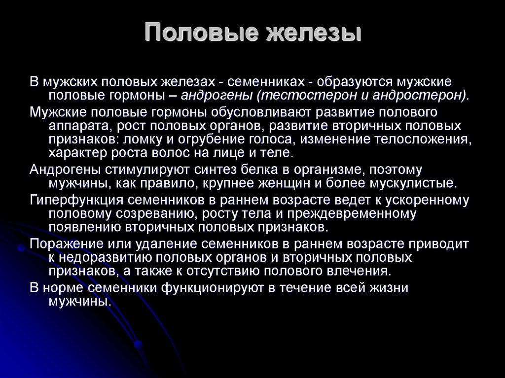 Врач по половым органам у мужчин. Половые железы возрастные. Половые железы возрастные особенности. Характеристика половых желез. Характеристика половых желёз.