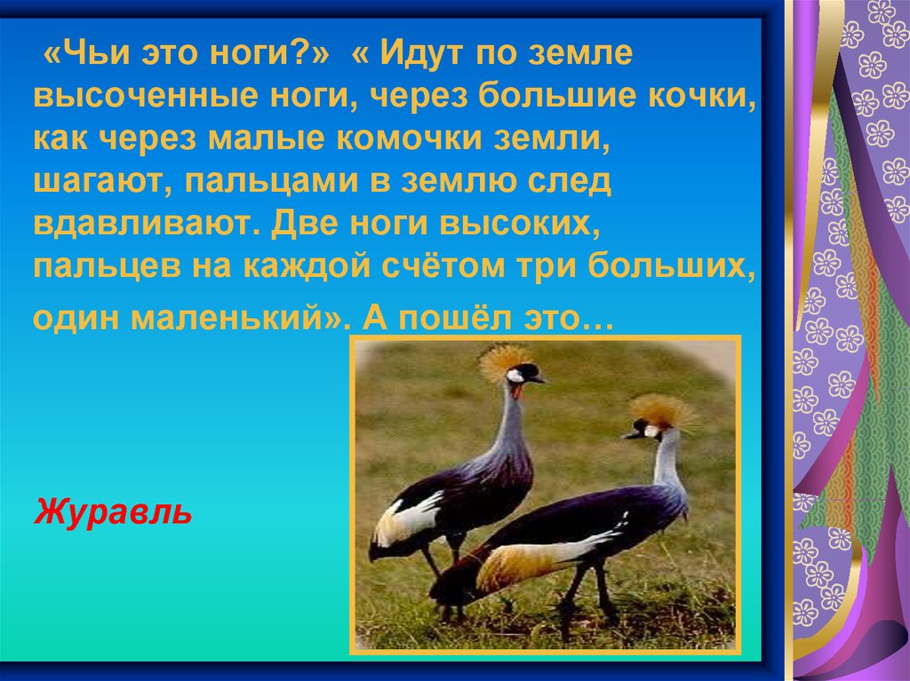 Бианки чьи это ноги. Чьи это ноги. Чьи эти ноги. Чьи это ноги книга. Чьи это ноги картинки.