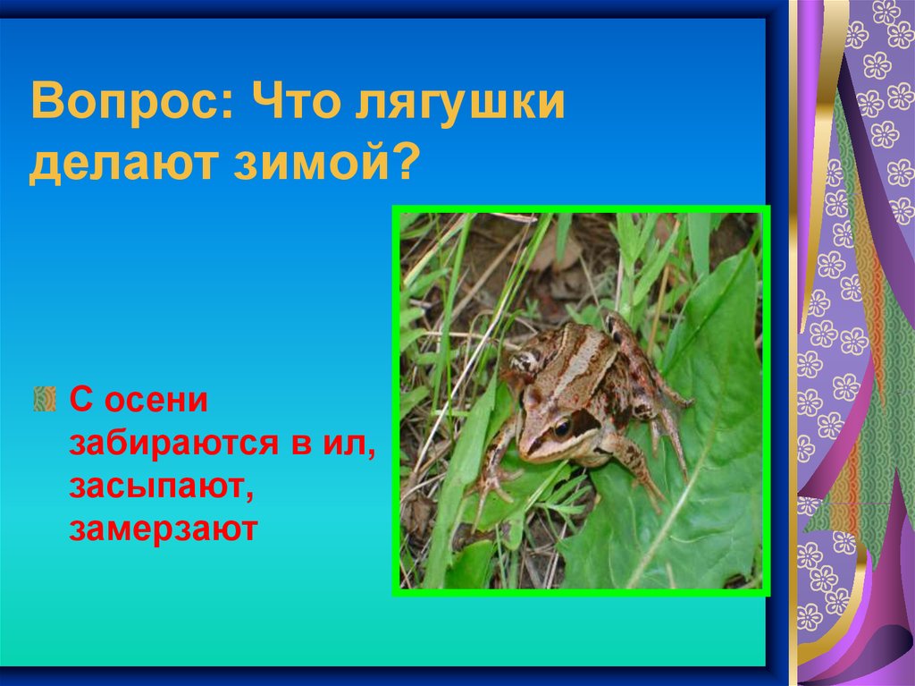 Есть в реке работники не столяры не плотники а выстроят плотину хоть пиши картину