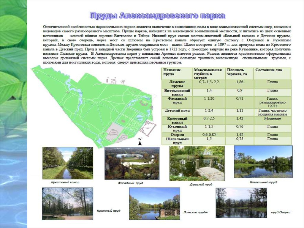 Название водоемов. Александровский парк презентация. Структура экологического атласа. Экологический атлас для детей. Содержание экологического атласа.