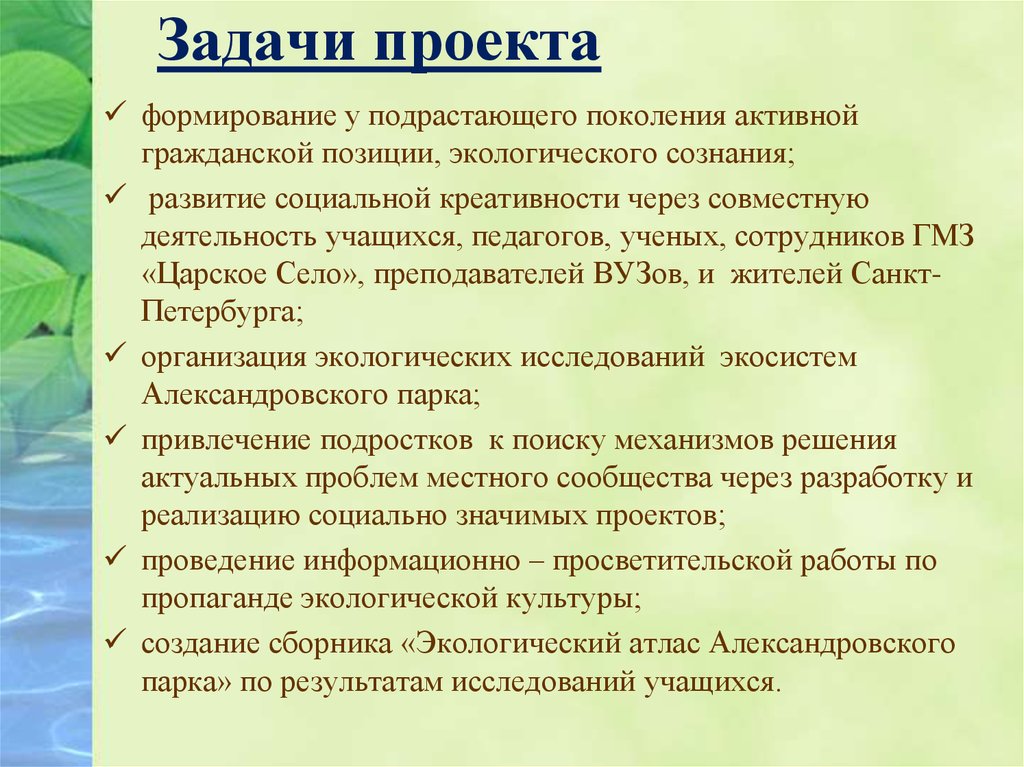 Задачи проекта по экологии