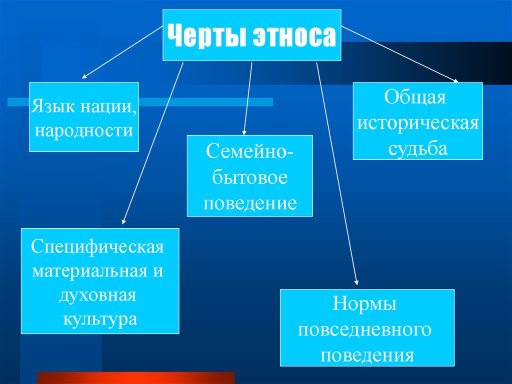 Этнос и экономика. Черты этноса. Основные черты этноса. Черты нации. Общие черты этноса.