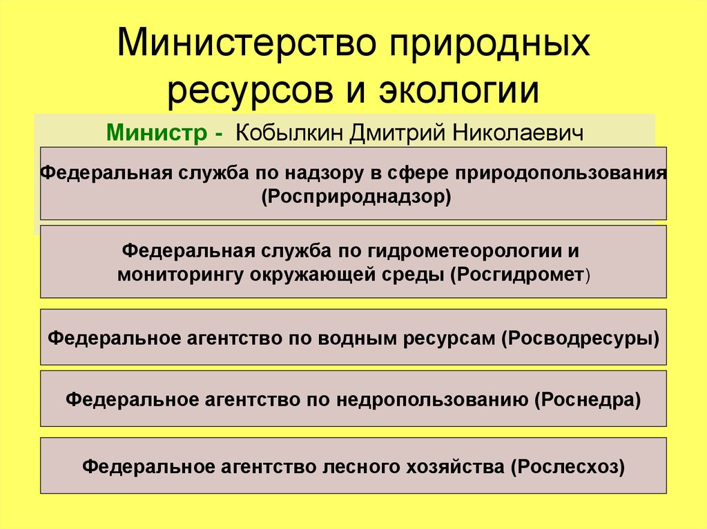 Компетенции министерства природных