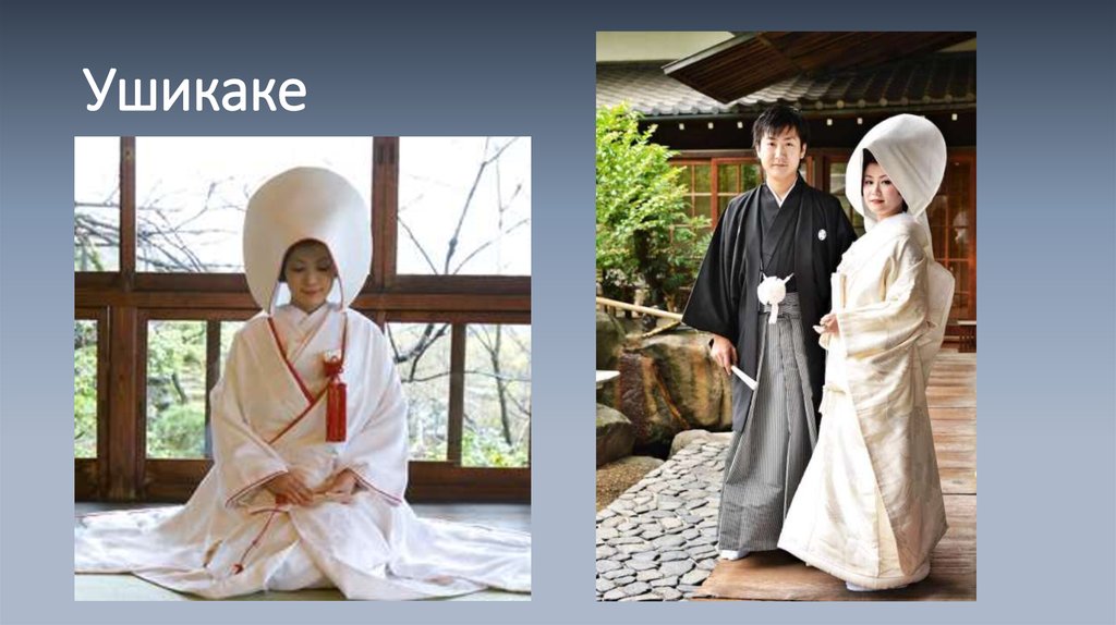 Ушикаке