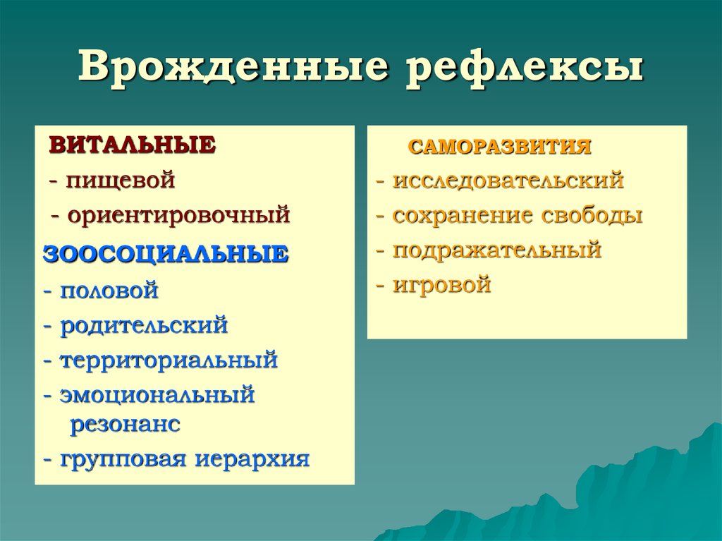 Врожденные рефлексы