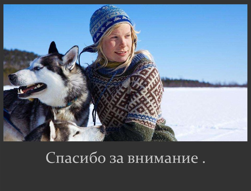 Спасибо за внимание .