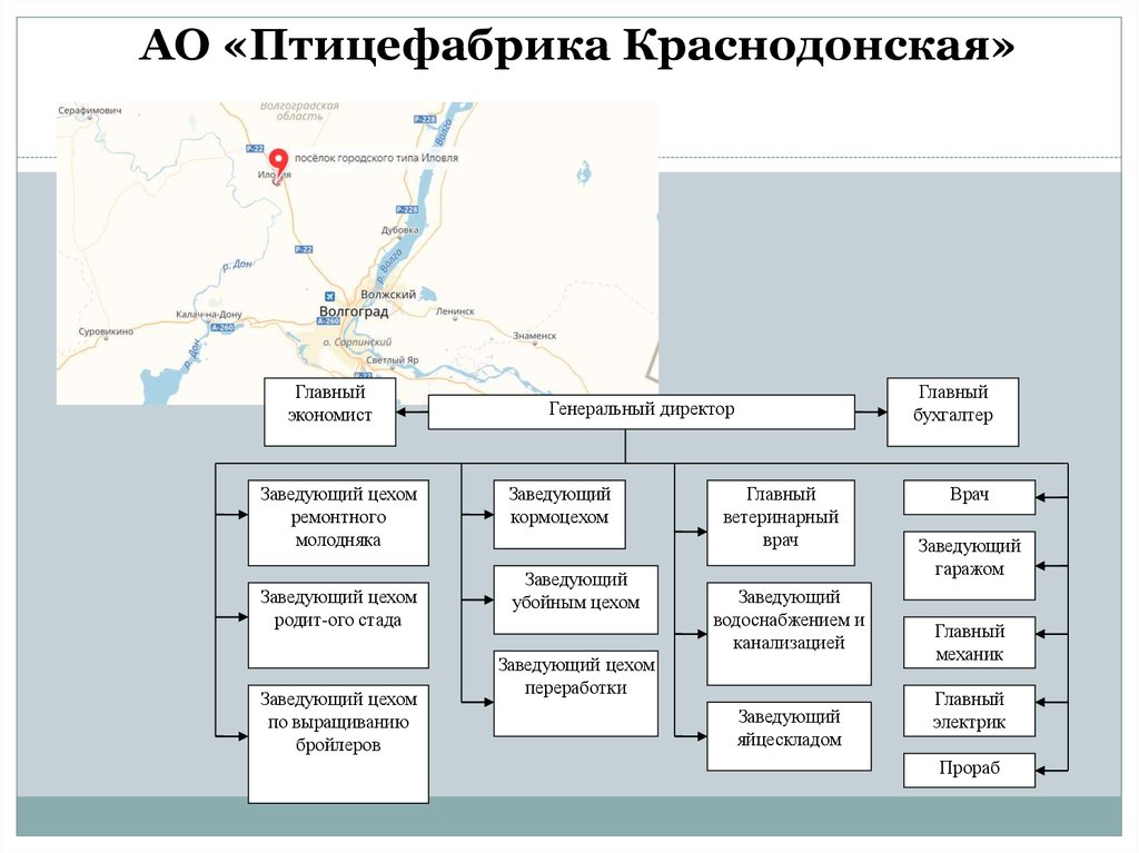 Организационная структура птицефабрики схема