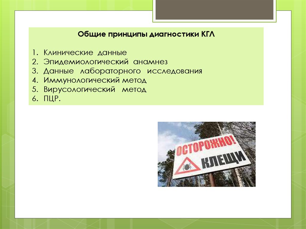 Контрольная работа по теме Геморрагические лихорадки: Конго-крымская геморрагическая лихорадка, геморрагическая лихорадка с почечным синдромом. Клещевой энцефалит