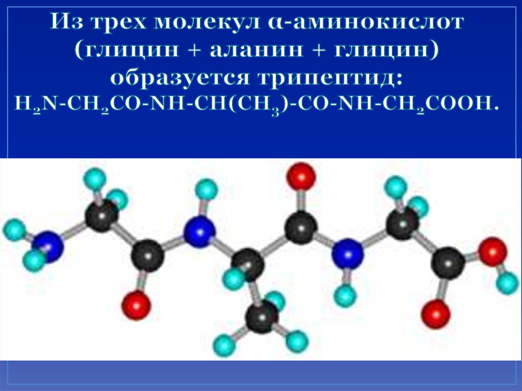 Из трех молекул α-аминокислот (глицин + аланин + глицин) образуется трипептид: H2N-CH2CO-NH-CH(CH3)-CO-NH-CH2COOH.