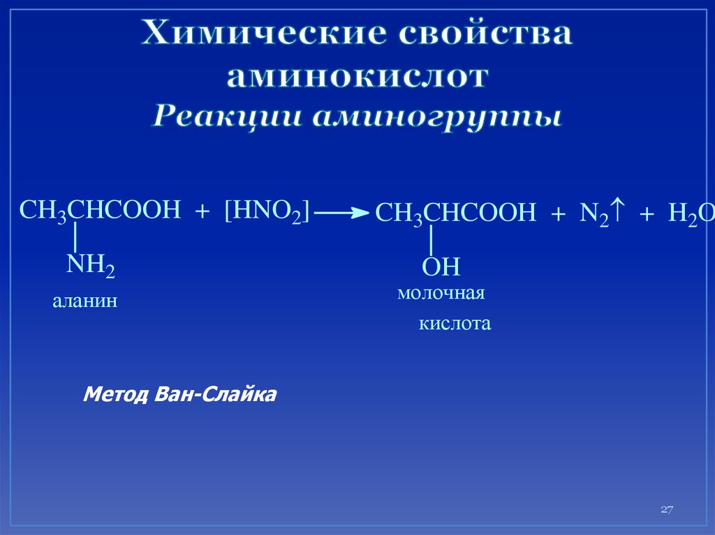 Гидролиз аминокислот реакция