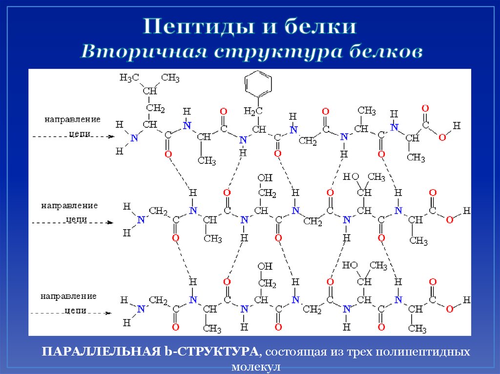 Соединение аминокислот