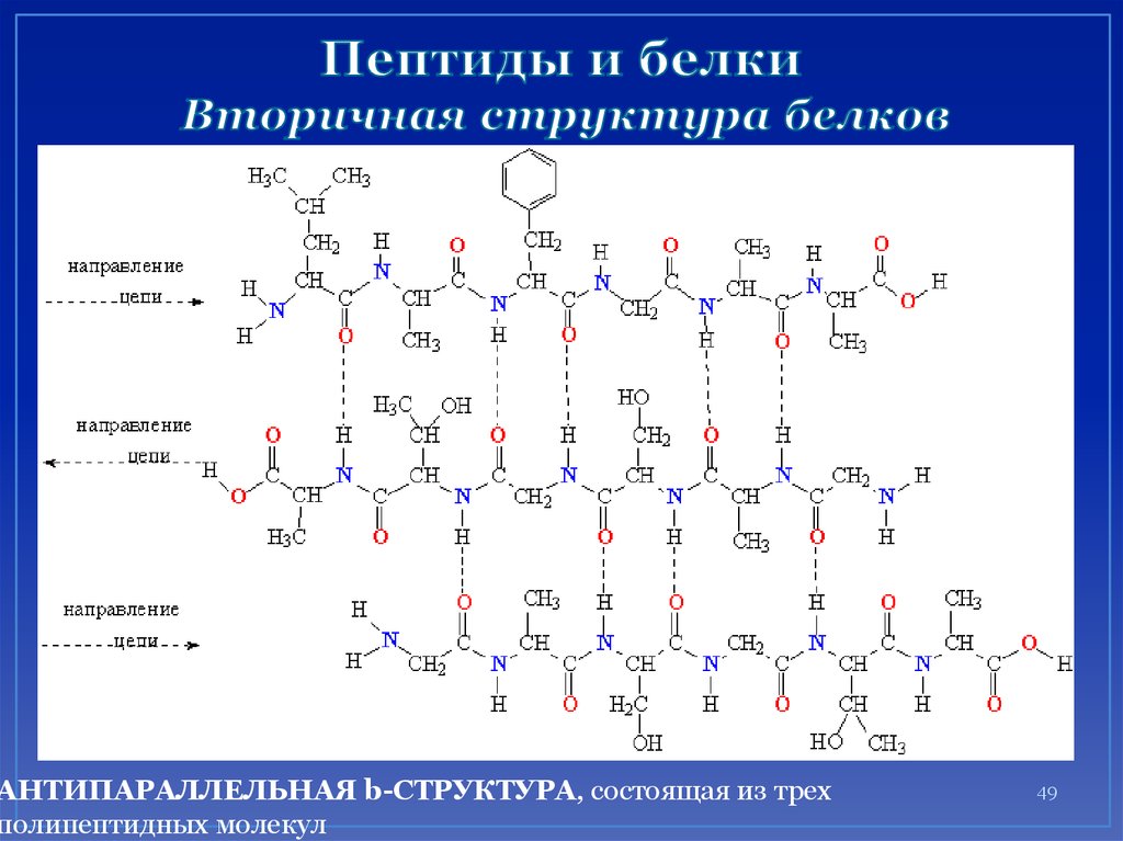 Соединение аминокислот