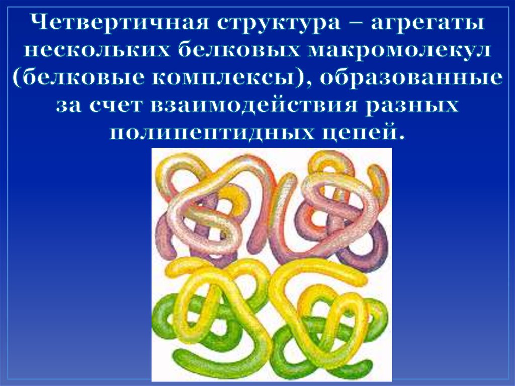 Выбери рисунок на котором представлена четвертичная структура белка