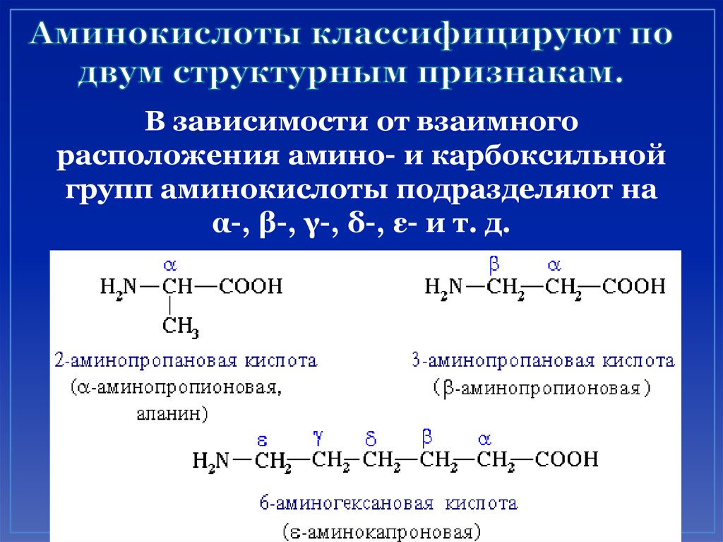 Аминопропановая кислота этанол. Аминокислоты полифункциональные соединения. Аминокислоты примеры. Аминокислоты по классификации. Классификация аминокислот.