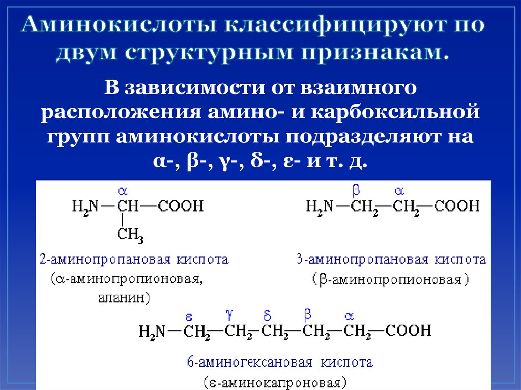 Аминокислоты 2 вариант. Аминокислоты полифункциональные соединения. Аминокислоты примеры. Аминокислоты по классификации. Классификация аминокислот.