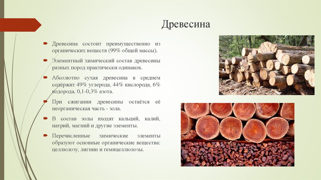 Чем является древесина. Состав древесины химия. Компоненты древесины. Химические элементы древесины. Древесина является веществом.