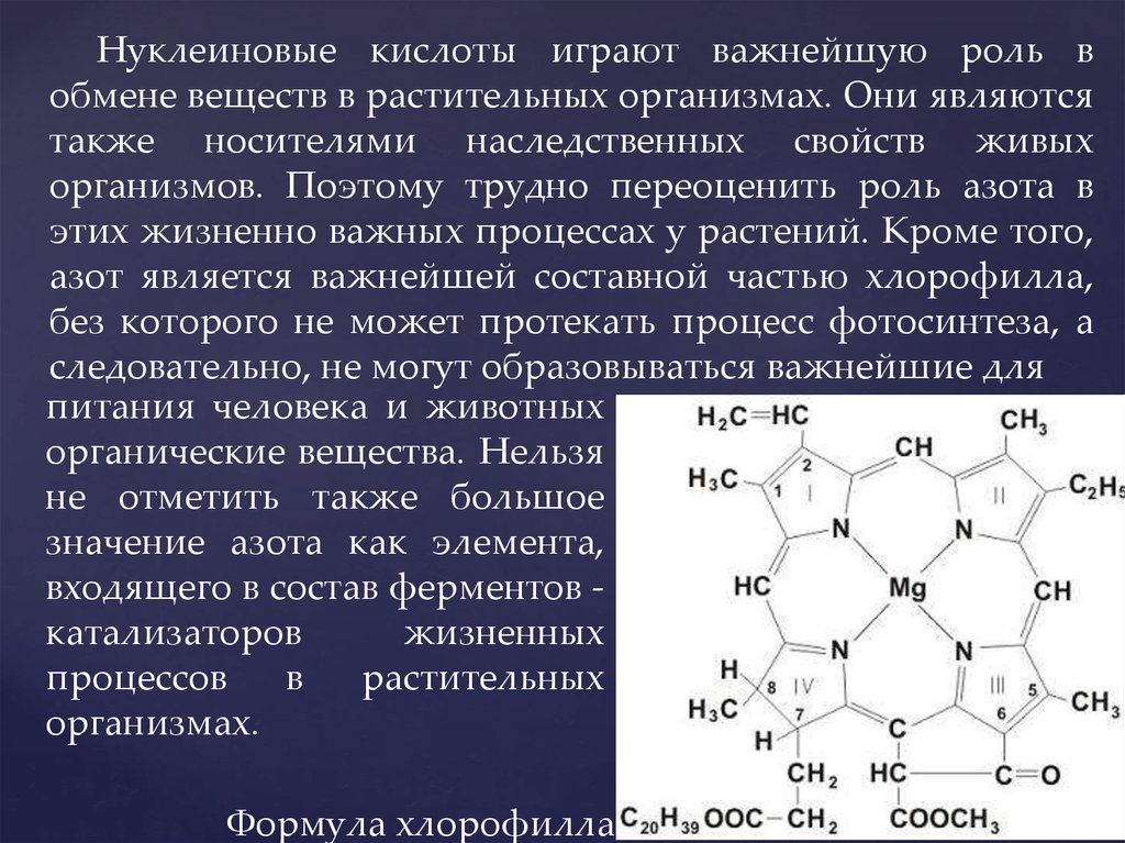 Сера в живом организме. Нуклеиновые кислоты в растениях. Роль азота в живых организмах. Протопорфириногеноксидаза. Нуклеиновые кислоты формула.
