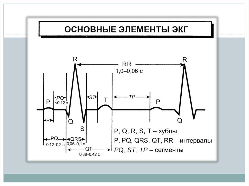 Сегменты экг. Кардиоцикл. Кардиоцикл ЭКГ. Кардиоцикл его структура. Нормы зубцов и интервалов ЭКГ.