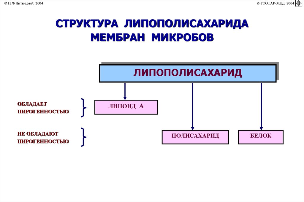 Пирогенность. Структура липополисахарида. Нарушение теплового баланса патофизиология. Строение липополисахарида бактерий. Полисахаридные звеньев липополисахарида микроорганизмов.