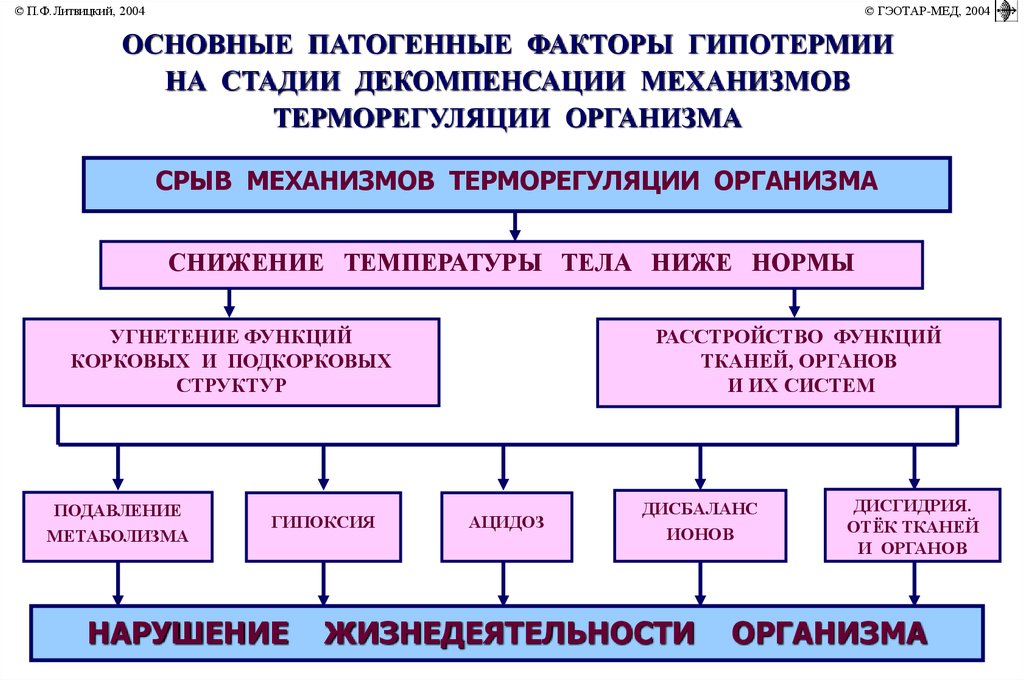 Гипотермия патофизиология презентация