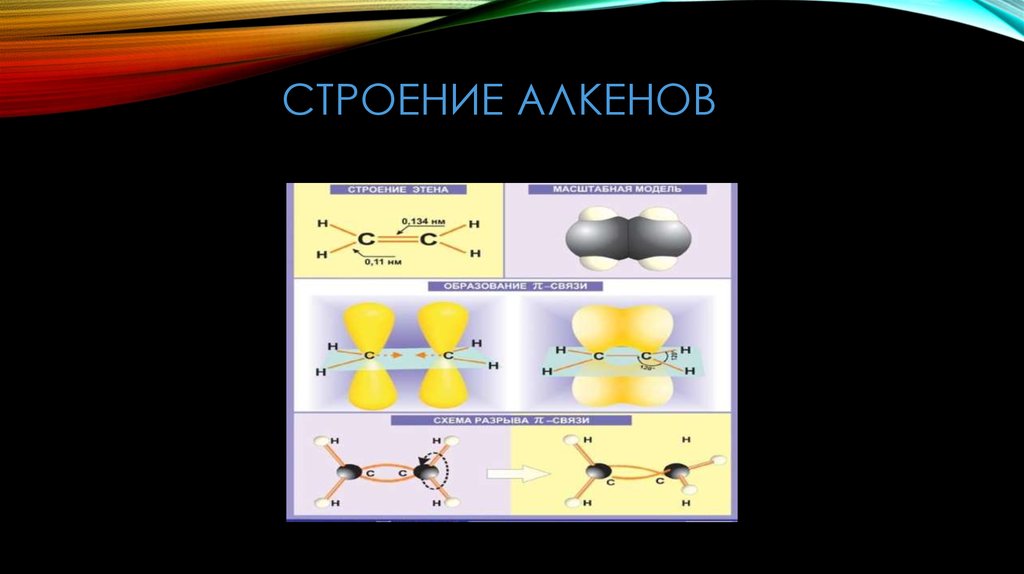 Строение алкенов рисунок