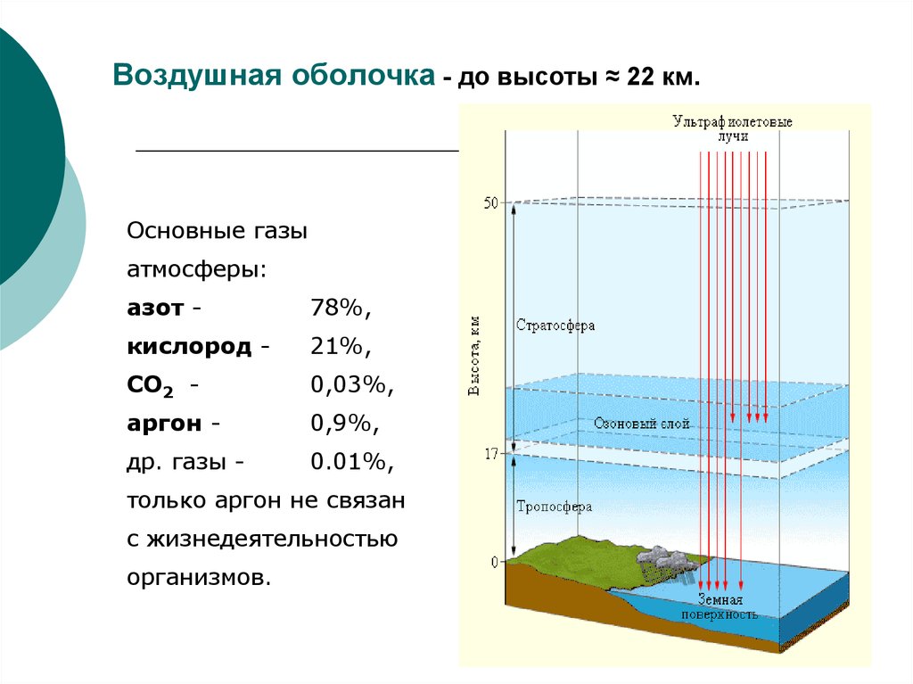 Структура биосферы презентация